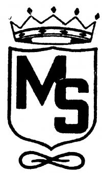 Meggiorini Santino di Meggiorini Giampietro e c. snc